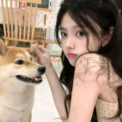 金装律师第一季